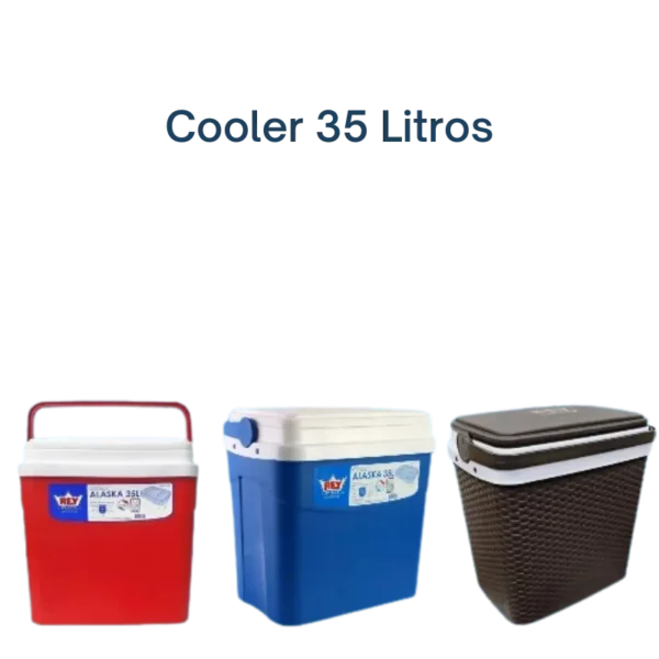 Cooler de 35 litros disponible en colores rojo, azul y marrón estilo ratán. Ideal para conservar bebidas y alimentos.