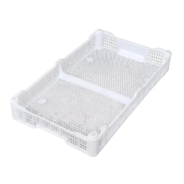 Caja Berries 50 X 30 G3 Blanco Wenco | Caja Cosechera Frutos Rojos